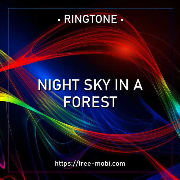 Night sky in a forest
