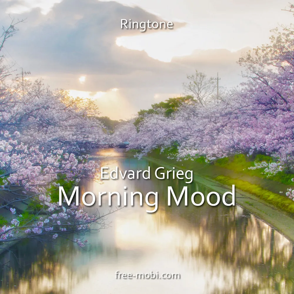 Morning mood by Edvard Grieg (Piano)