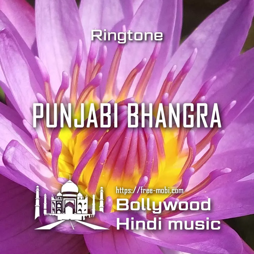 Punjabi Bhangra Song