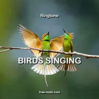 Birds singing outside Ringtone