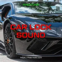 Car lock - sound effect