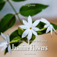 Jasmine Flower, Japanese alarm tone - FreeMobi Ringtone