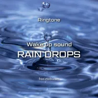 Rain drops - FreeMobi Ringtone