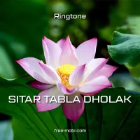 Sitar Tabla Dholak - FreeMobi Ringtone