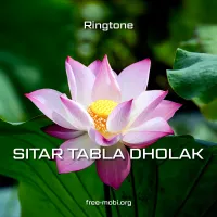 Завантажити Рінгтон: Sitar Tabla Dholak - FreeMobi
